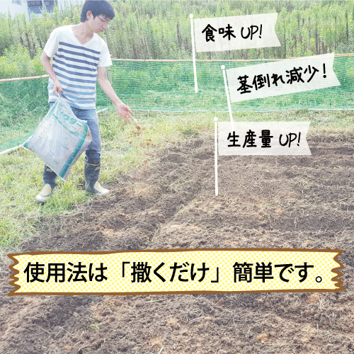 やぶらぶウォーカー お試し用 竹パウダー 0g プランター栽培 ベランダ菜園 へ 花は元気に 野菜がおいしくなる 土がフカフカになる 化成に頼らない 土づくり 健康野菜 作り 郵送ポスト投函スマートレター
