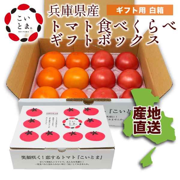 【こいとま】セレブスイート&フルーツゴールドギャバリッチ トマト 美味しさ食べ比べセット 約0.8kg～1.0kg